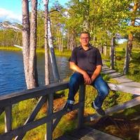 Отзыв от Денис - DTV виза